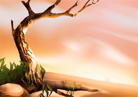Desert tree - Highly detailed cartoon background 11 - illustration Stock Photo - Budget Royalty-Free & Subscription, Code: 400-04436425