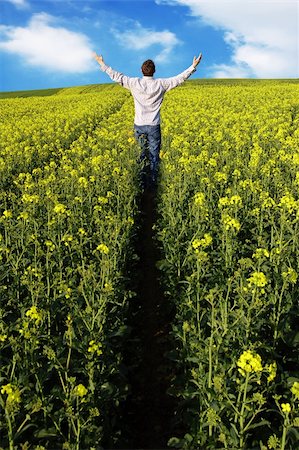 A man with his arms raised in a crop field Stock Photo - Budget Royalty-Free & Subscription, Code: 400-04436455