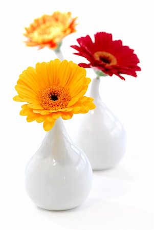 simsearch:400-03961189,k - Three vases with gerbera flowers isolated on white background as interior design element Fotografie stock - Microstock e Abbonamento, Codice: 400-04436712