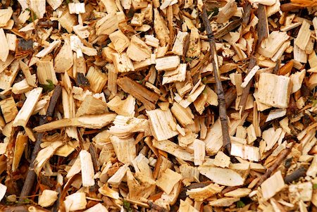 sawmill wood industry - Background of freshly made yellow wood chips Photographie de stock - Aubaine LD & Abonnement, Code: 400-04437033