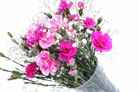 simsearch:649-07436587,k - Vase of pretty pink carnations isolated on a white background Fotografie stock - Microstock e Abbonamento, Codice: 400-04437315