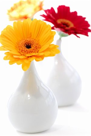 simsearch:400-03961189,k - Three vases with gerbera flowers isolated on white background as interior design element Fotografie stock - Microstock e Abbonamento, Codice: 400-04437497