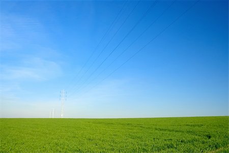 simsearch:400-05132684,k - lushes green grass, blue sky and power lines in the distance Stockbilder - Microstock & Abonnement, Bildnummer: 400-04437710