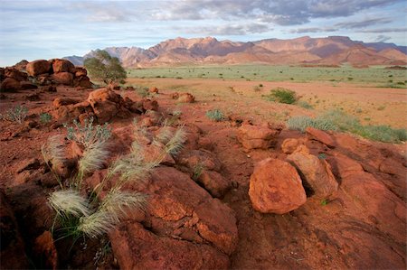 Desert landscape at sunrise, Brandberg mountain, Namibia Stock Photo - Budget Royalty-Free & Subscription, Code: 400-04438148