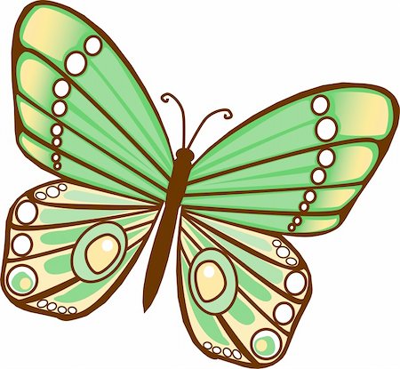 Green Illustrated Butterfly Stock Photo - Budget Royalty-Free & Subscription, Code: 400-04438278