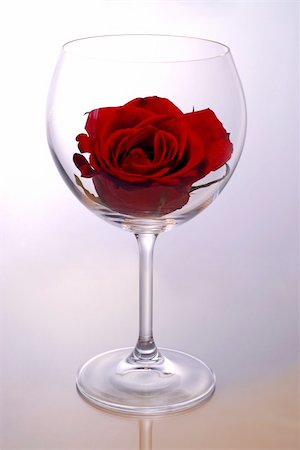 Red rose blossom inside of a red wine glass Stock Photo - Budget Royalty-Free & Subscription, Code: 400-04438898