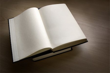 simsearch:400-04480816,k - A blank paged opened book. Photographie de stock - Aubaine LD & Abonnement, Code: 400-04439373