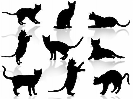 Illustration about funny cats silhouette in typical poses Stock Photo - Budget Royalty-Free & Subscription, Code: 400-04439989