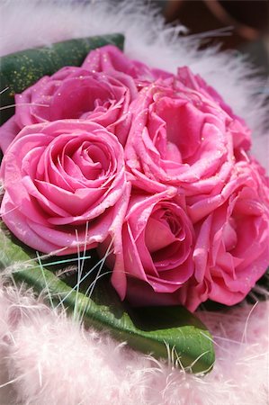 simsearch:622-06191177,k - Pink roses surrounded by white Stock Photo - Budget Royalty-Free & Subscription, Code: 400-04430431