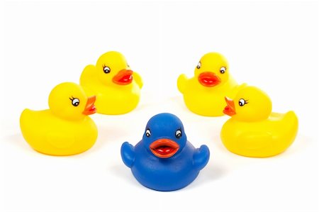 simsearch:400-04899558,k - The yellow rubber ducks team and the blue leader with soft shadow Foto de stock - Royalty-Free Super Valor e Assinatura, Número: 400-04433421