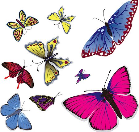 Vector illustration of many flying butterflies. Foto de stock - Royalty-Free Super Valor e Assinatura, Número: 400-04433672