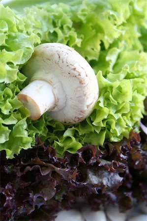 Vegetables. Still life, isolated over the white Stock Photo - Budget Royalty-Free & Subscription, Code: 400-04444574