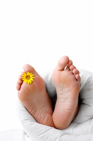 foot daisy - Feet in bed with flower and copyspace Stock Photo - Budget Royalty-Free & Subscription, Code: 400-04444777