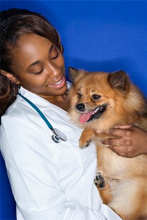 simsearch:400-04446187,k - African American young adult female veterinarian holding brown Pomeranian dog. Photographie de stock - Aubaine LD & Abonnement, Code: 400-04446221