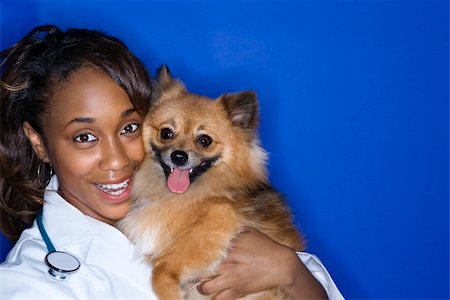 simsearch:400-04446187,k - African American young adult female veterinarian holding brown Pomeranian dog. Photographie de stock - Aubaine LD & Abonnement, Code: 400-04446222