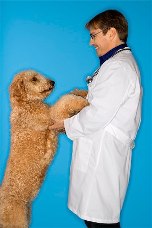Middle-aged Caucasian male  veterinarian with Goldendoodle dog. Stock Photo - Budget Royalty-Free & Subscription, Code: 400-04446349