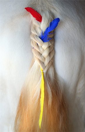 Ponytails after grooming Stockbilder - Microstock & Abonnement, Bildnummer: 400-04446594