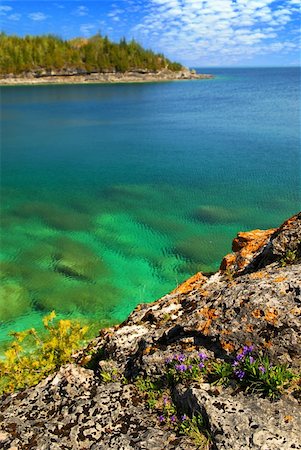 simsearch:400-04093692,k - Beautiful view of a scenic lake with clear water. Georgian Bay, Canada Stockbilder - Microstock & Abonnement, Bildnummer: 400-04446962