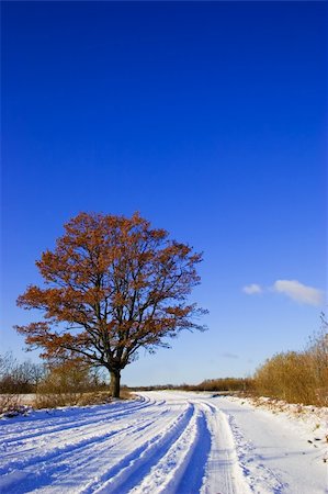 simsearch:400-07184753,k - Country road with snow and oak tree with leafs Stock Photo - Budget Royalty-Free & Subscription, Code: 400-04447224