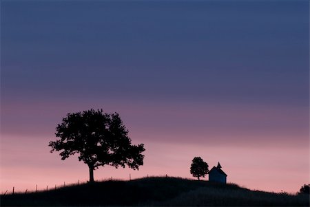 flowers in moonlight - Scenery in the early morning, Riegsee in Upper Bavaria Photographie de stock - Aubaine LD & Abonnement, Code: 400-04447357