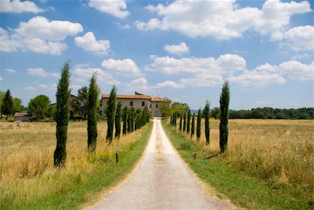 Path leas to a beautiful house in Chianti, tuscany. Stock Photo - Budget Royalty-Free & Subscription, Code: 400-04447623