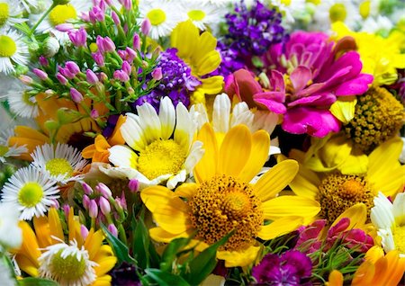 simsearch:400-06419466,k - floral background Stockbilder - Microstock & Abonnement, Bildnummer: 400-04447876