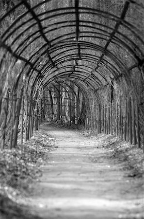 The image of an arch in park. b/w Stock Photo - Budget Royalty-Free & Subscription, Code: 400-04447927