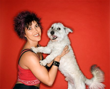 simsearch:400-04446187,k - Hispanic young adult female holding small white dog. Photographie de stock - Aubaine LD & Abonnement, Code: 400-04448256