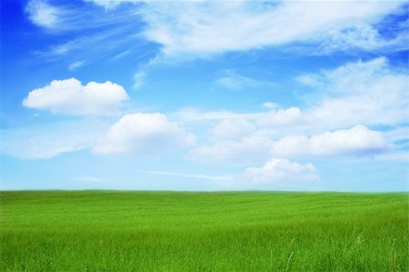 simsearch:400-07097368,k - a green field, a beautiful landscape under the beautiful, blue sky with clouds Photographie de stock - Aubaine LD & Abonnement, Code: 400-04448720