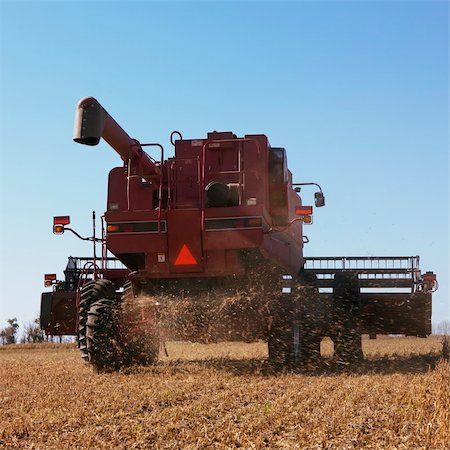 Back view of combine harvesting soybeans. Stock Photo - Budget Royalty-Free & Subscription, Code: 400-04449711
