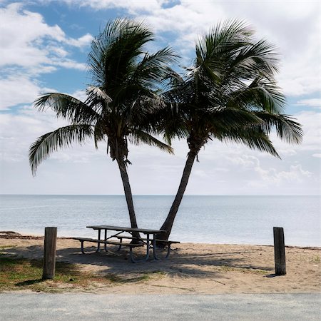 florida keys - Picnic table by pair of palm trees on beach in Florida Keys, Florida, USA. Foto de stock - Super Valor sin royalties y Suscripción, Código: 400-04449748