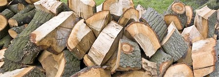 sawmill wood industry - Background of stacked logs Foto de stock - Super Valor sin royalties y Suscripción, Código: 400-04449892