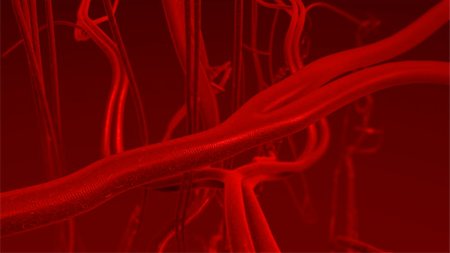 3D rendering of blood arteries. Focus in the middle of artery while distant arteries and veins are out of focus. Lightning focus also in the center and darker to the distance. Stockbilder - Microstock & Abonnement, Bildnummer: 400-04440361