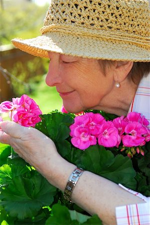 family backyard gardening not barbeque - Portrait of a happy senior woman in her garden smelling flowers Stock Photo - Budget Royalty-Free & Subscription, Code: 400-04440557