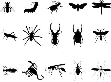 insects silhouettes Foto de stock - Royalty-Free Super Valor e Assinatura, Número: 400-04440903