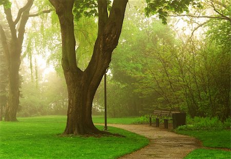 simsearch:400-07678715,k - Path in a green foggy park in the spring Foto de stock - Royalty-Free Super Valor e Assinatura, Número: 400-04442331