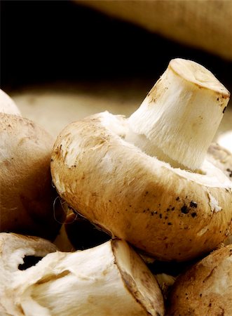 fresh chestnut mushrooms on a burlap background Foto de stock - Royalty-Free Super Valor e Assinatura, Número: 400-04454038