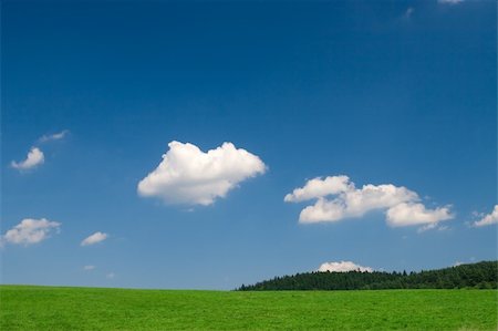 Green field and blue sky with cumulus clouds Foto de stock - Royalty-Free Super Valor e Assinatura, Número: 400-04454112