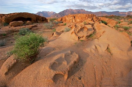 simsearch:400-04470445,k - Desert landscape at sunrise, Brandberg mountain, Namibia Stockbilder - Microstock & Abonnement, Bildnummer: 400-04455030