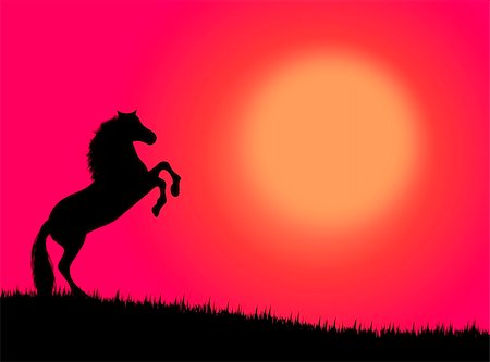 simsearch:400-05095678,k - Black wild horse against a colorful sunset Photographie de stock - Aubaine LD & Abonnement, Code: 400-04455398