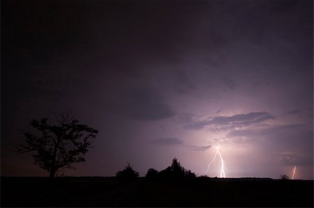 Storm with a tree Photographie de stock - Aubaine LD & Abonnement, Code: 400-04455822