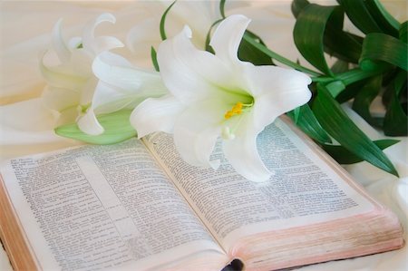 Easter Lily and Bible Stockbilder - Microstock & Abonnement, Bildnummer: 400-04456567