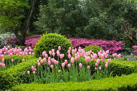 south carolina landscape - Beautiful gardens of the Nathaniel Russell House in Charleston South Carolina Stock Photo - Budget Royalty-Free & Subscription, Code: 400-04456803