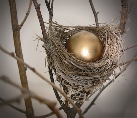simsearch:400-04499320,k - Branch with small nest, containing a bright golden egg. Taken with a Panasonic FZ30. Fotografie stock - Microstock e Abbonamento, Codice: 400-04457022