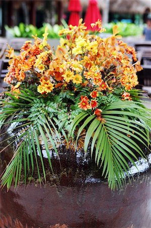 simsearch:400-04941060,k - Ceramic pot filled with orange tropical flowers. Fotografie stock - Microstock e Abbonamento, Codice: 400-04457372