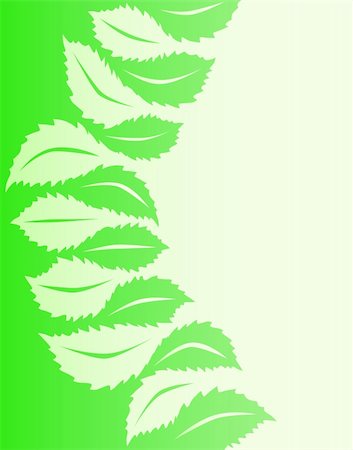 simsearch:400-04397952,k - Illustrated vector design of generic leaf shapes Fotografie stock - Microstock e Abbonamento, Codice: 400-04457483