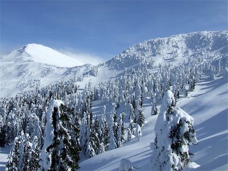 simsearch:400-05904919,k - Downhill skiing tracks among fir trees in winter mountains Stock Photo - Budget Royalty-Free & Subscription, Code: 400-04457533