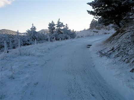 simsearch:400-05904919,k - Downhill skiing tracks among fir trees in winter mountains Stock Photo - Budget Royalty-Free & Subscription, Code: 400-04457542