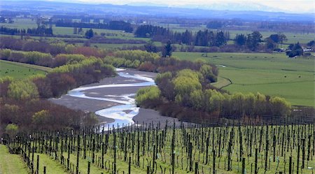 simsearch:400-05242097,k - A meandering river with rows of grapes in the forground Foto de stock - Super Valor sin royalties y Suscripción, Código: 400-04458357