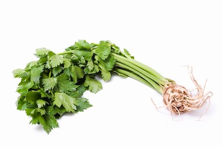 image series of fresh vegetables on white background - celery Stock Photo - Budget Royalty-Free & Subscription, Code: 400-04458631